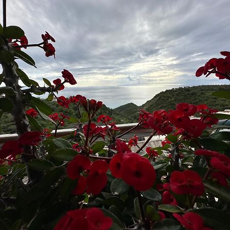 Selami Sea View Apartments Lukove Luaran gambar