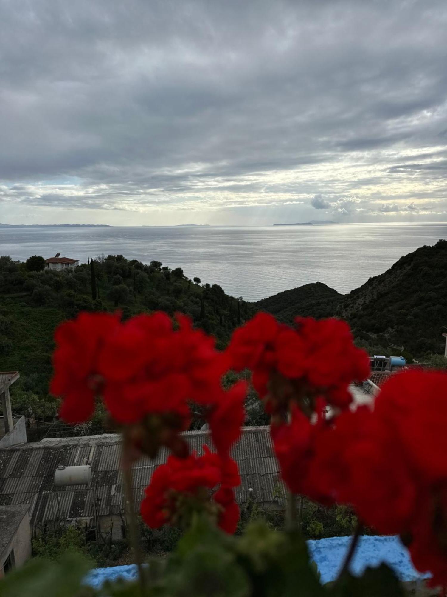 Selami Sea View Apartments Lukove Luaran gambar