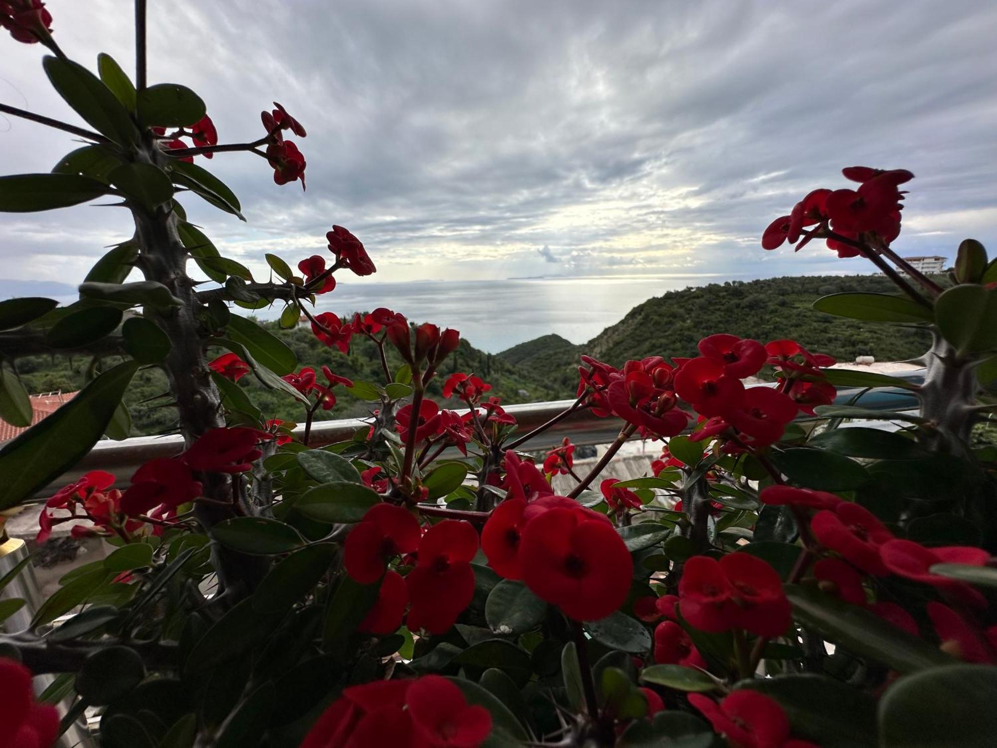 Selami Sea View Apartments Lukove Luaran gambar